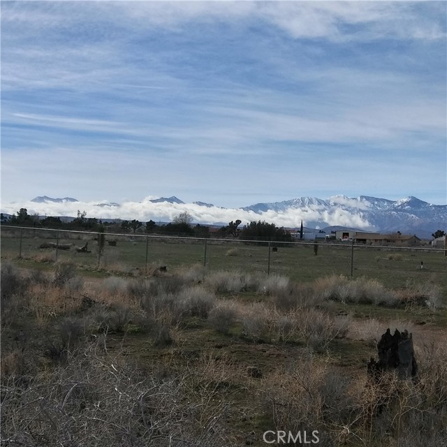 10611 Yucca Terrace, Hesperia, CA, 92344 10611 Yucca Terrace, Hesperia, CA, 92344