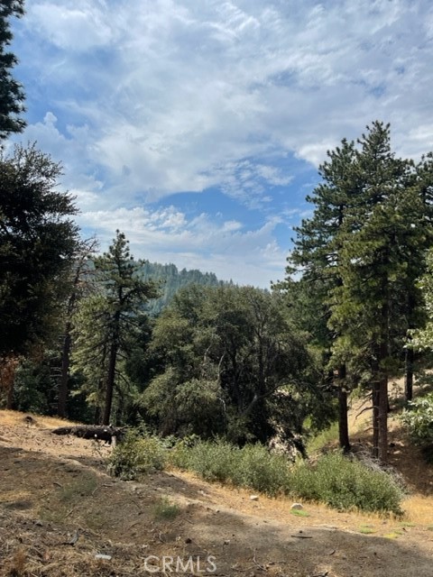 0 Cochran Rd, Cedarpines Park, California 92391, ,Land,For Sale,0 Cochran Rd,CREV22196824