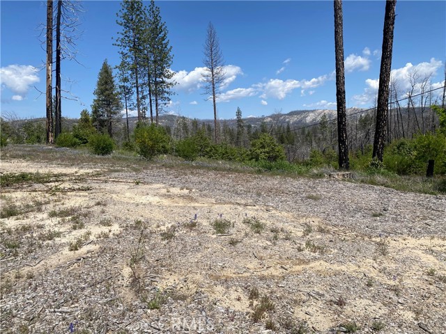 Detail Gallery Image 13 of 24 For 1103 Bald Rock Rd, Berry Creek,  CA 95916 - – Beds | – Baths