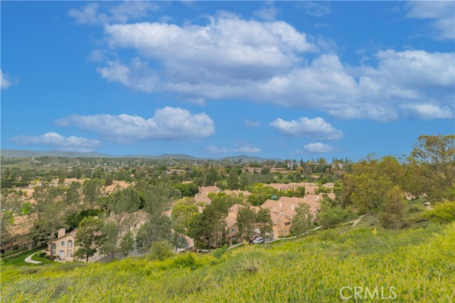 56 Egret Lane, Aliso Viejo CA: https://media.crmls.org/medias/6bbe7ec7-9734-4810-bce8-8947c767d8fb.jpg
