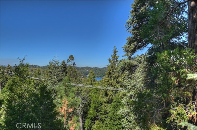 Detail Gallery Image 32 of 44 For 28545 Wabash Dr, Lake Arrowhead,  CA 92352 - 3 Beds | 2 Baths