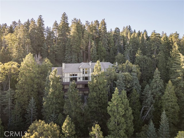 Detail Gallery Image 71 of 71 For 293 Fairway Dr, Lake Arrowhead,  CA 92352 - 6 Beds | 7/1 Baths