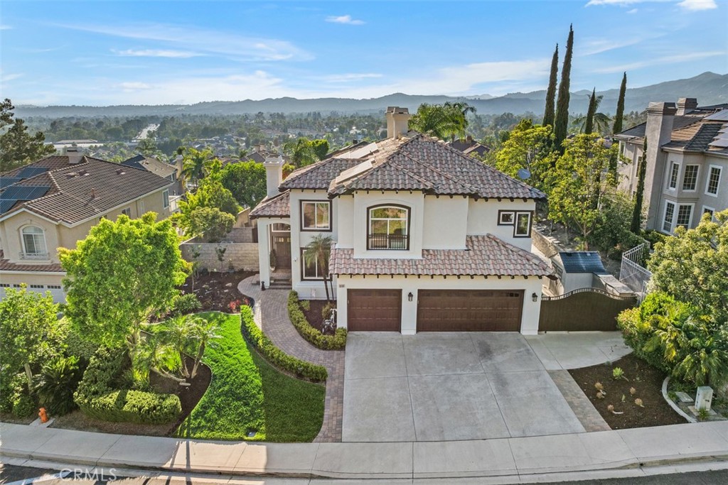 32191 Weeping Willow Street
