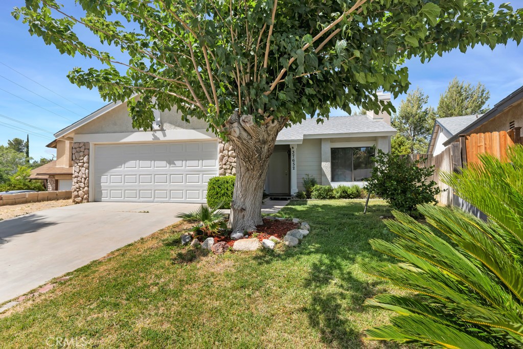 37652 Patty Court