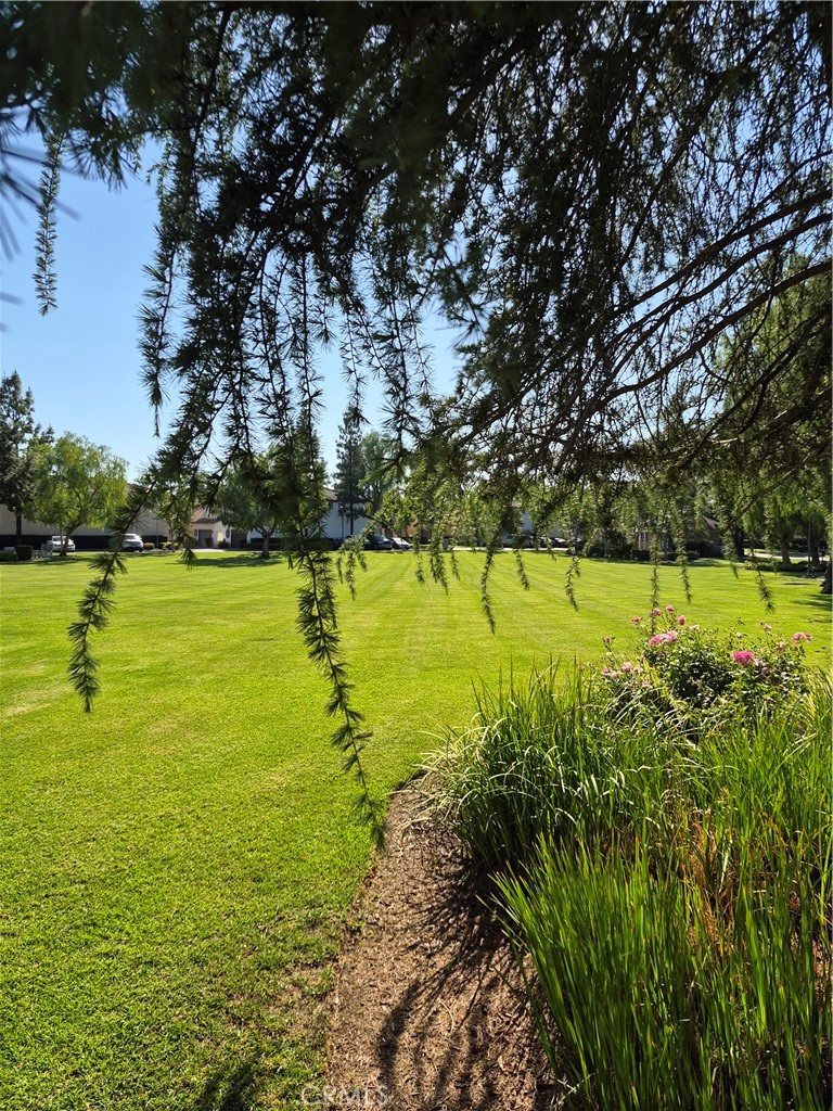 https://media.crmls.org/medias/6bd61850-1421-4c13-a285-c7209f2306ff.jpg?preset=X-Large