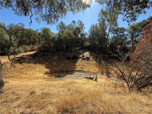 Detail Gallery Image 10 of 12 For 20 Bull Pine, Mariposa,  CA 95338 - – Beds | – Baths