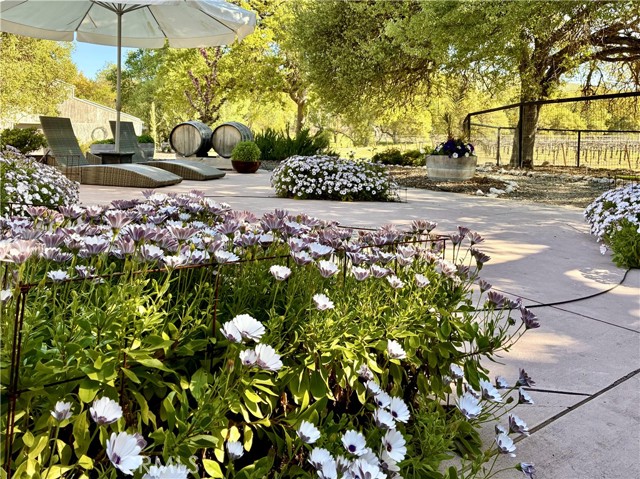 53600 Bradley Lockwood Road, Lockwood CA: https://media.crmls.org/medias/6be14fea-b0b4-4a72-9d23-aebba7082929.jpg