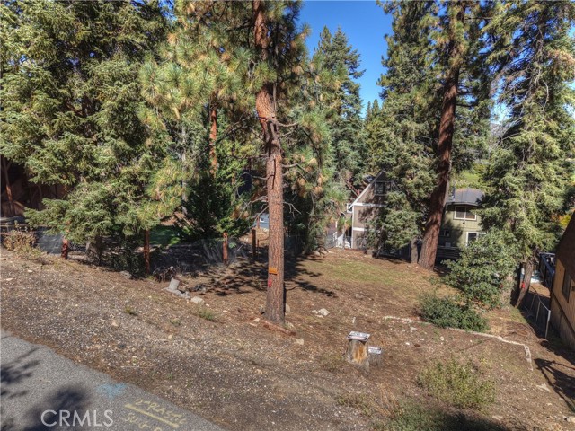 42994 Falls Avenue, Big Bear Lake CA: https://media.crmls.org/medias/6be24bf0-6b47-4c94-93b3-6f9ded7c5048.jpg