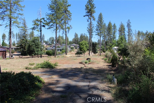 Front Image Thumbnail for CRPA26139826