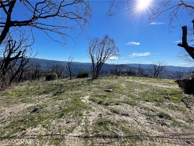 363 Raccoon, Berry Creek, CA, 95916 363 Raccoon, Berry Creek, CA, 95916