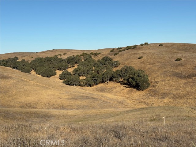 3 Maverick, Paso Robles CA: https://media.crmls.org/medias/6beaafec-224d-45d7-8569-dbaa12ae66ae.jpg