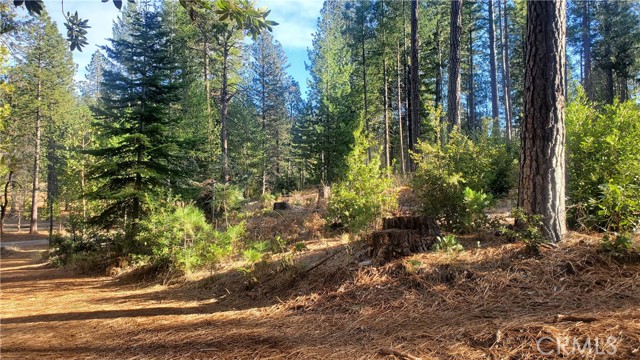 1 Coutolenc Road, Magalia, California 95954, ,Land,For Sale,1 Coutolenc Road,CRSN23217034