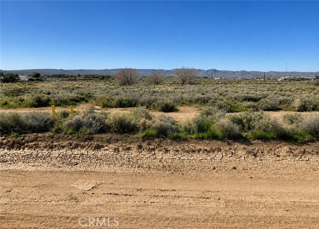 Front Image Thumbnail for CRIV26218744