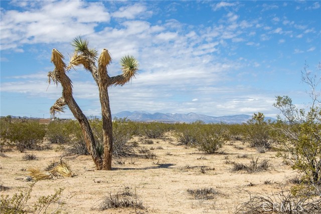 Detail Gallery Image 18 of 19 For 0 Sunny Sands, Joshua Tree,  CA 92252 - – Beds | – Baths