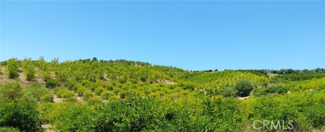 5 De Anza Road, Temecula CA: https://media.crmls.org/medias/6bf046cb-6739-4299-ab27-ad9e470ff5c9.jpg