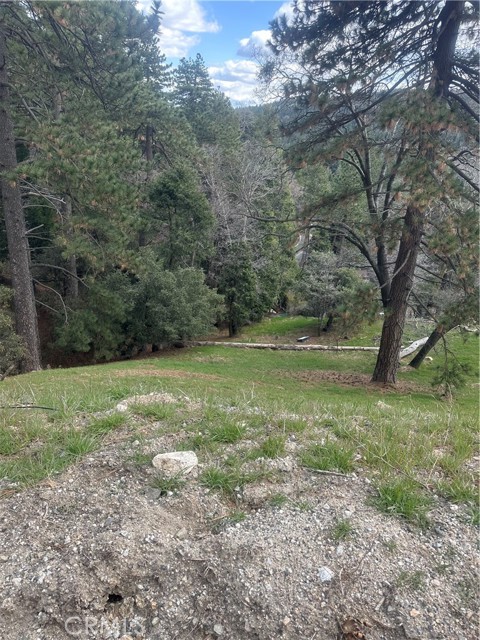 Front Image Thumbnail for CRCV26069187