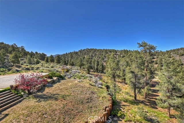 Detail Gallery Image 65 of 75 For 46727 Minnow, Big Bear City,  CA 92314 - 5 Beds | 6/1 Baths