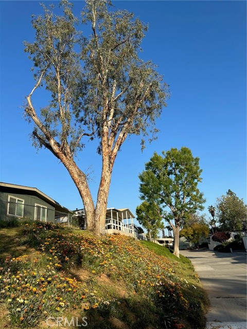 Detail Gallery Image 38 of 52 For 15181 Van Buren Bld #178,  Riverside,  CA 92504 - 3 Beds | 2 Baths