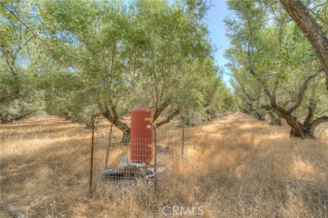 16 Rocky Drive, Oroville CA: https://media.crmls.org/medias/6bfa0f2e-07ef-4221-96cb-b1d3f6cd4a64.jpg