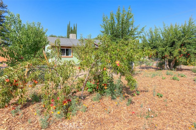 9493 Yokum Street, Chico CA: https://media.crmls.org/medias/6bfa9ca0-4aa7-437f-b9d7-1bbf60708154.jpg