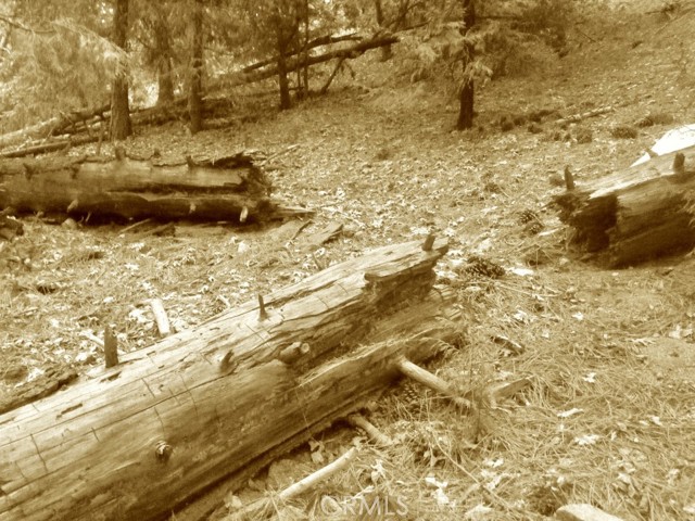 25005 Basel Drive, Crestline, CA, 92325 25005 Basel Drive, Crestline, CA, 92325