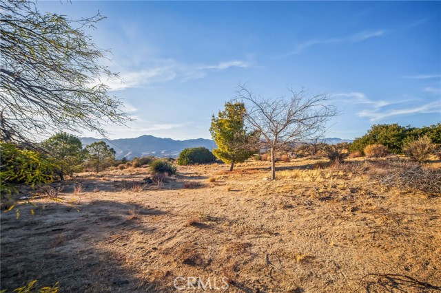 Detail Gallery Image 25 of 30 For 68720 Alpine Dr, Mountain Center,  CA 92561 - 3 Beds | 2 Baths