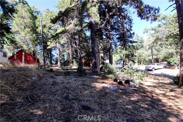 Detail Gallery Image 22 of 24 For 1109 Scenic Way, Rimforest,  CA 92378 - 2 Beds | 1 Baths