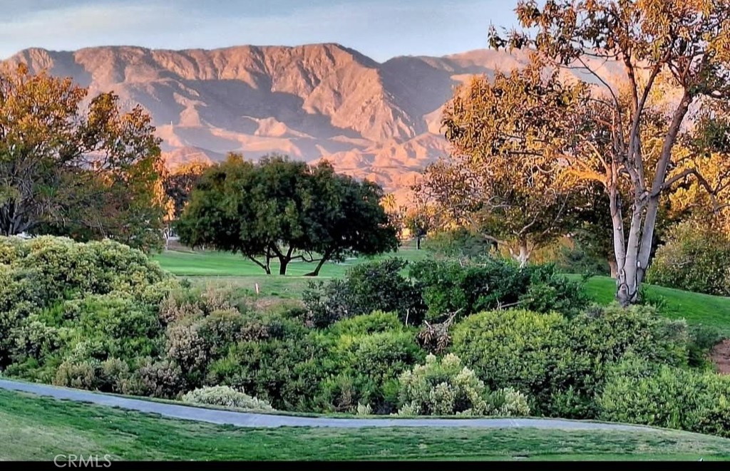 MLS #IG25063359 image #7