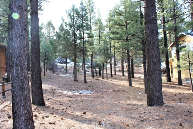 2340 Manzanita Lane, Big Bear City, CA, 92314 2340 Manzanita Lane, Big Bear City, CA, 92314