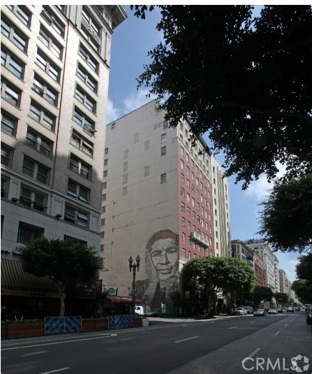 612 S Spring St 908, Los Angeles, CA 90014