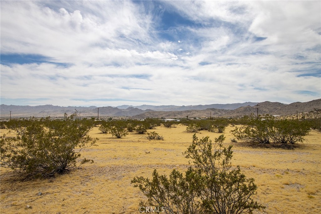 MLS #JT25261609 image #9