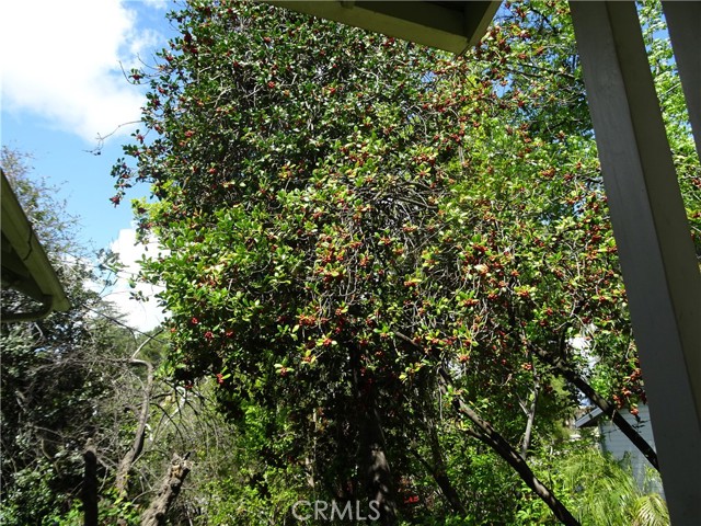2952 Mill Creek Road, Mentone CA: https://media.crmls.org/medias/6c17d421-2007-49b1-a2e6-a95cbd7ad5af.jpg