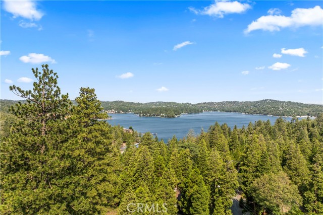 Detail Gallery Image 50 of 53 For 101 State Highway 173, Lake Arrowhead,  CA 92352 - 3 Beds | 3 Baths