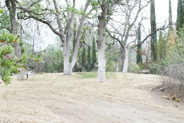 15723 El Dorado Drive, Corning CA: https://media.crmls.org/medias/6c2c1709-b4e6-4aaf-b6dd-da05bf518ee1.jpg
