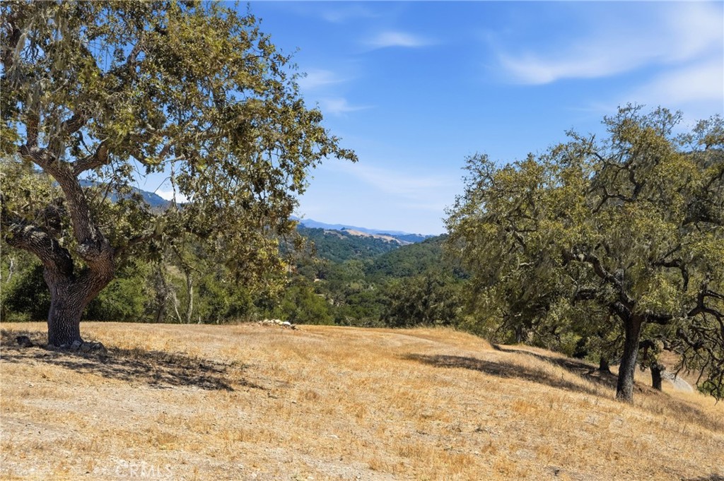 MLS #PI26145328 image #30