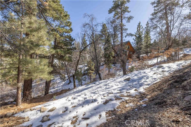 Detail Gallery Image 10 of 19 For 0 Pigeon Rd, Big Bear Lake,  CA 92315 - – Beds | – Baths