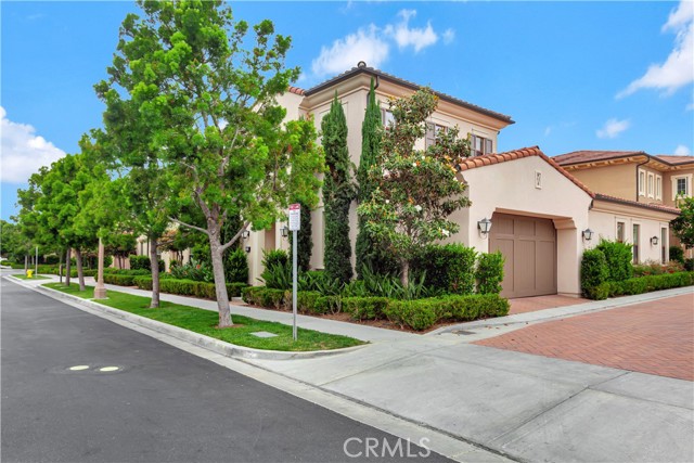 Front Image Thumbnail for CROC25233799