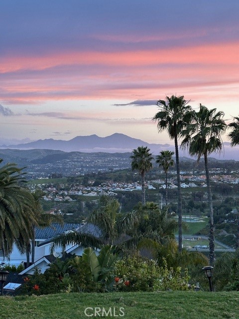 MLS #OC25085713 img 4