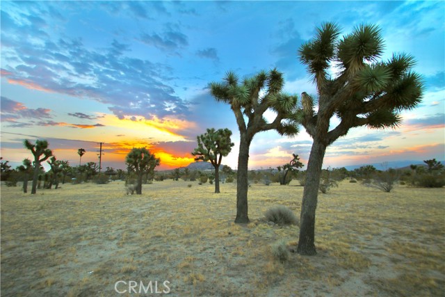 Detail Gallery Image 2 of 12 For 0 Forrest Dr, Yucca Valley,  CA 92284 - – Beds | – Baths