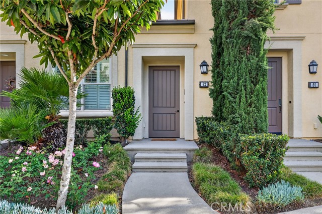 Front Image Thumbnail for CROC26083615