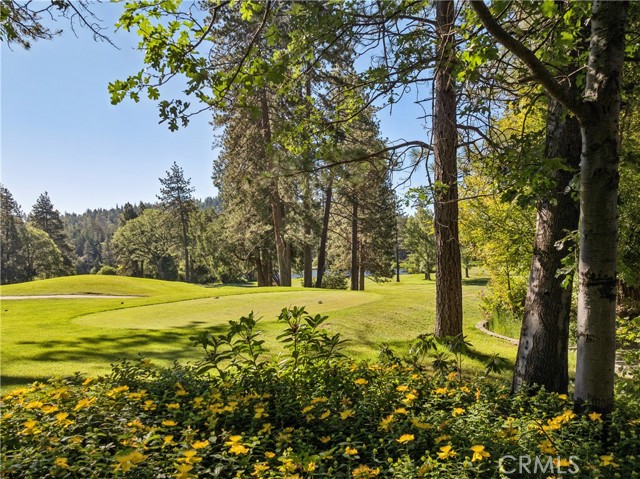 699 Brentwood, Lake Arrowhead, CA 92352