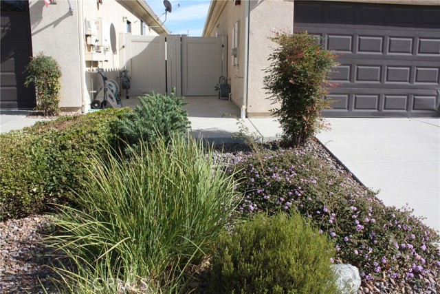 Detail Gallery Image 2 of 43 For 1548 Camino Hidalgo, Hemet,  CA 92545 - 3 Beds | 2 Baths