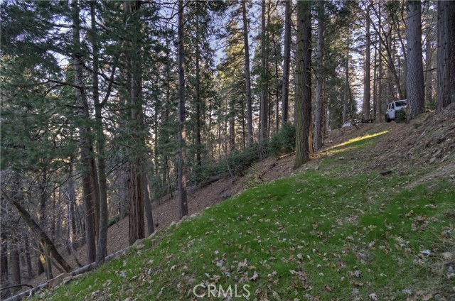 687 Spring, Cedarpines Park CA: https://media.crmls.org/medias/6c4a2d5a-d027-435d-87d6-93b8e9b6d94d.jpg