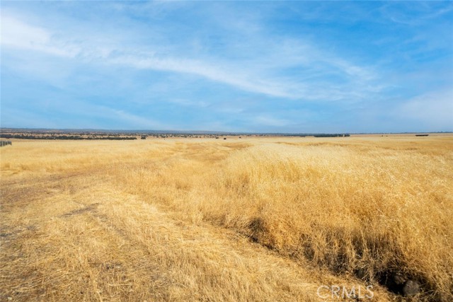 Detail Gallery Image 7 of 8 For 0 Gunnison Road, Chico,  CA 95973 - – Beds | – Baths