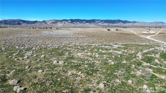 Detail Gallery Image 5 of 10 For 0 Gaskell Rd & George St, Rosamond,  CA 93560 - – Beds | – Baths