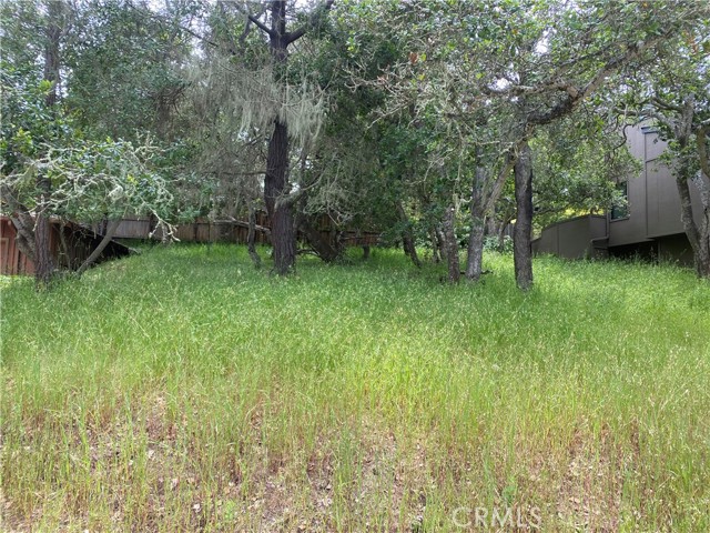 Front Image Thumbnail for CRSC26031208