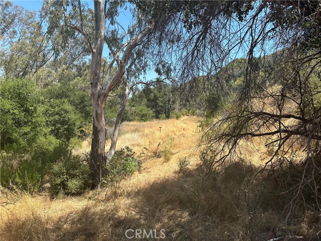 Detail Gallery Image 31 of 40 For 30100 Mulholland, –,  CA 91301 - – Beds | – Baths