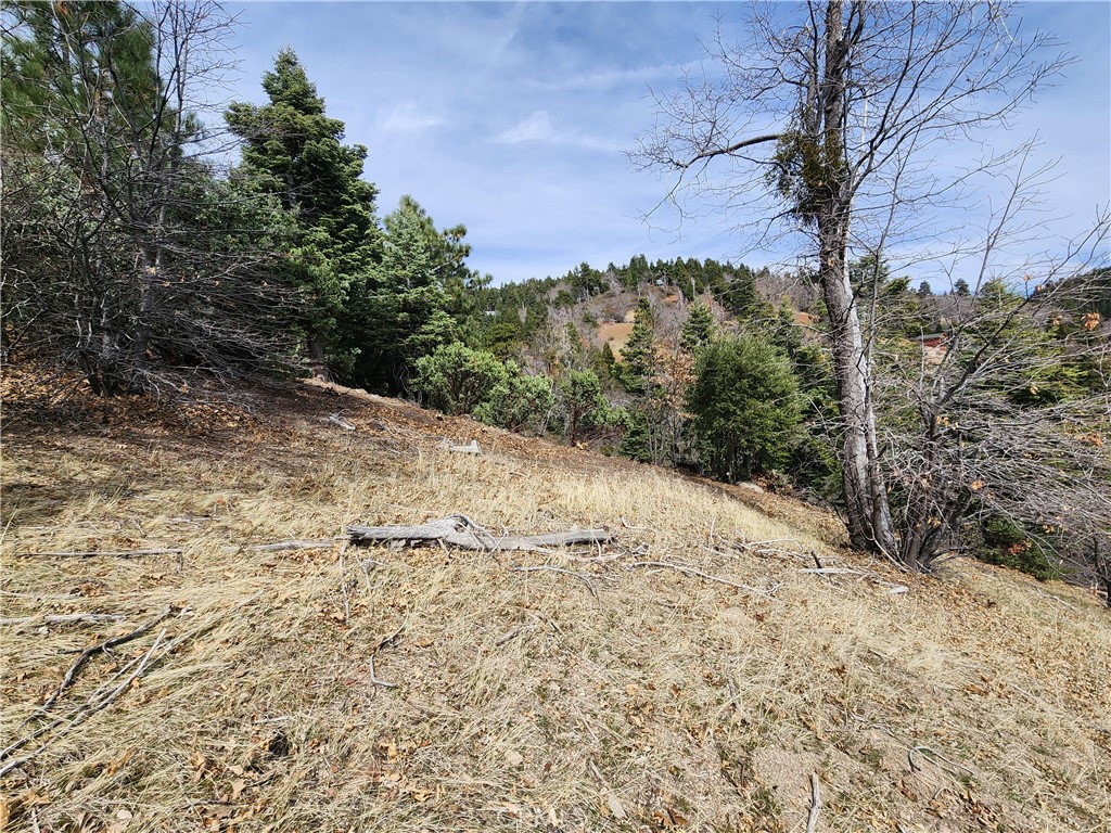 MLS #IG25045374 image #12