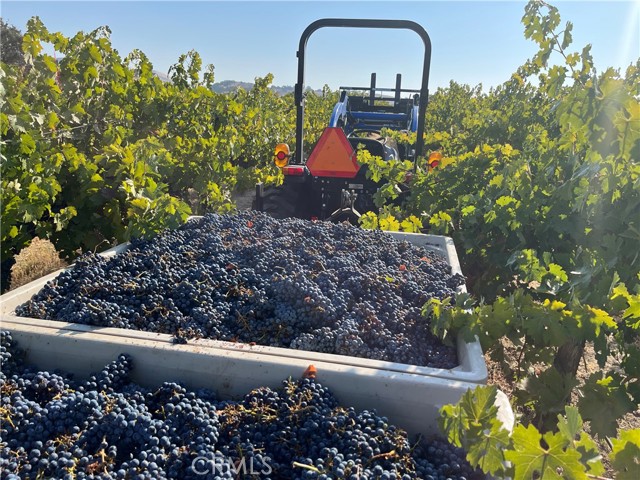 Detail Gallery Image 59 of 66 For 53600 Bradley Lockwood, Bradley,  CA 93426 - 3 Beds | 2 Baths