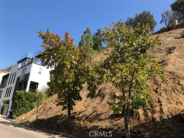 Incredible opportunity build a dream view home in a prime Beverly Hills P.O. area. Sweeping, pastoral canyon views! Located on a quiet street. Minutes to Beverly Hills attractions. This lot has a plan of 4 bedrooms, 6 bathrooms single family resident with entertaining rooms, rooftop swimming pool, deck, and so much more. Don't let the opportunity pass by! GEO and Soil reports available upon request. Buyers and Buyer's agent are responsible for verifying the accuracy of all information and should investigate the data themselves or retain appropriate professionals.